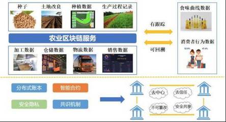 金种子通证ZZT运用区块链技术赋能现代农业