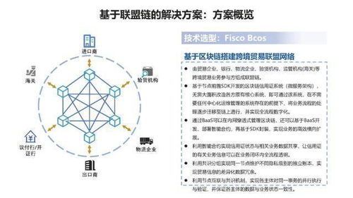 bsn官方培训精选 区块链跨境支付的正确姿势