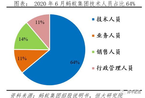 蚂蚁研究报告