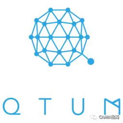 新加坡七大领航区块链项目与服务平台