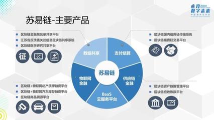 苏宁金融张侦 构建可信数字生态——苏宁金融区块链创新实践与服务平台探索